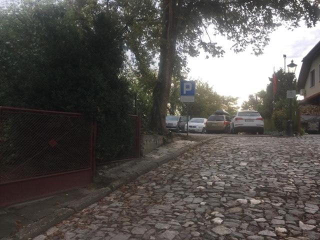 Zielone Wzgorze Na Starowce Apartment Sandomierz Bagian luar foto