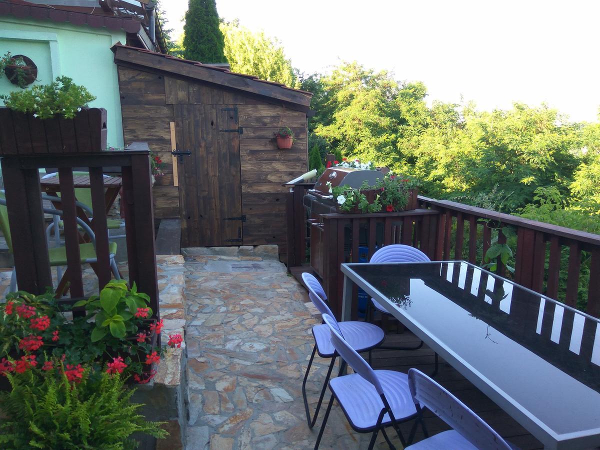 Zielone Wzgorze Na Starowce Apartment Sandomierz Bagian luar foto